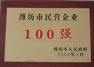 100(qing)